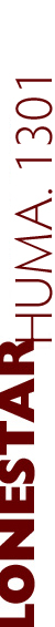 GD160||Basic Web Design
