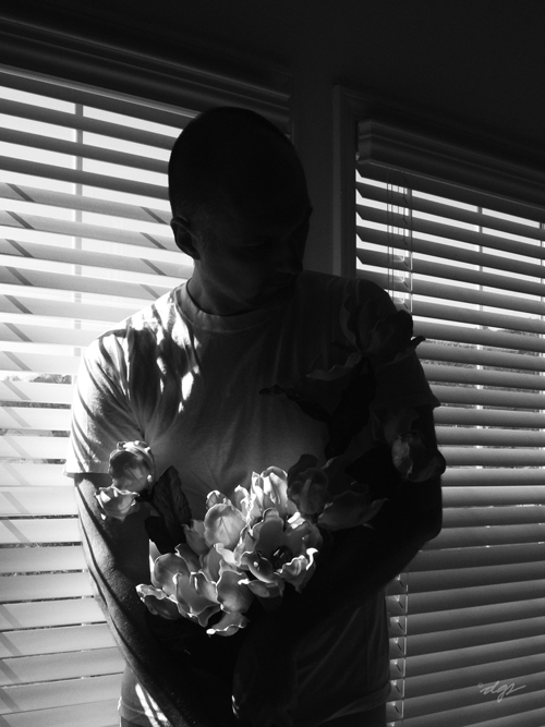 day 100 || falling armfuls of flowers