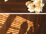 day 16 || diptych || shadow