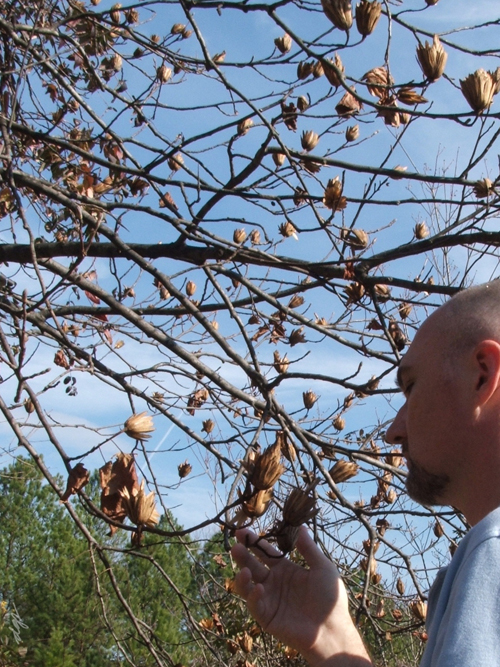 day 171