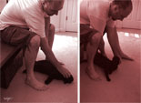 day 29 || diptych || with pet