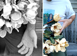 day 36 || diptych || thinking of melissa