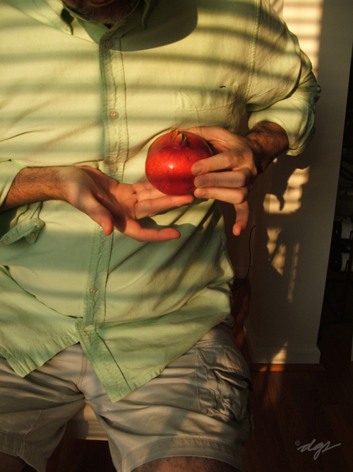 day 68 || pomegranate heart
