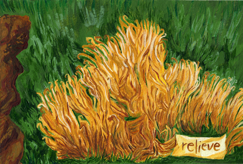 motion:2006 | relieve