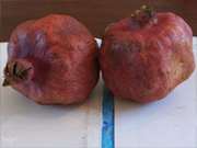 pomegranates 01